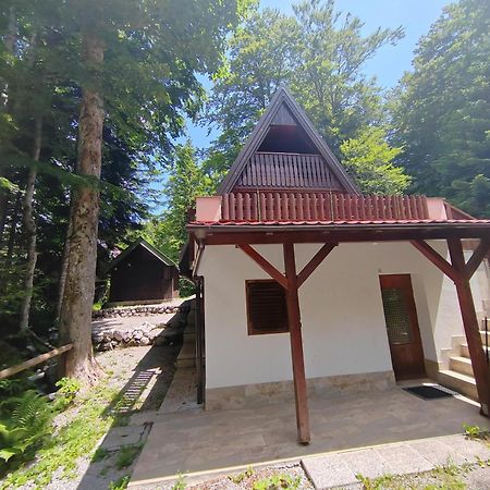 Koca Planika, Sviscaki Villa Ilirska Bistrica ภายนอก รูปภาพ