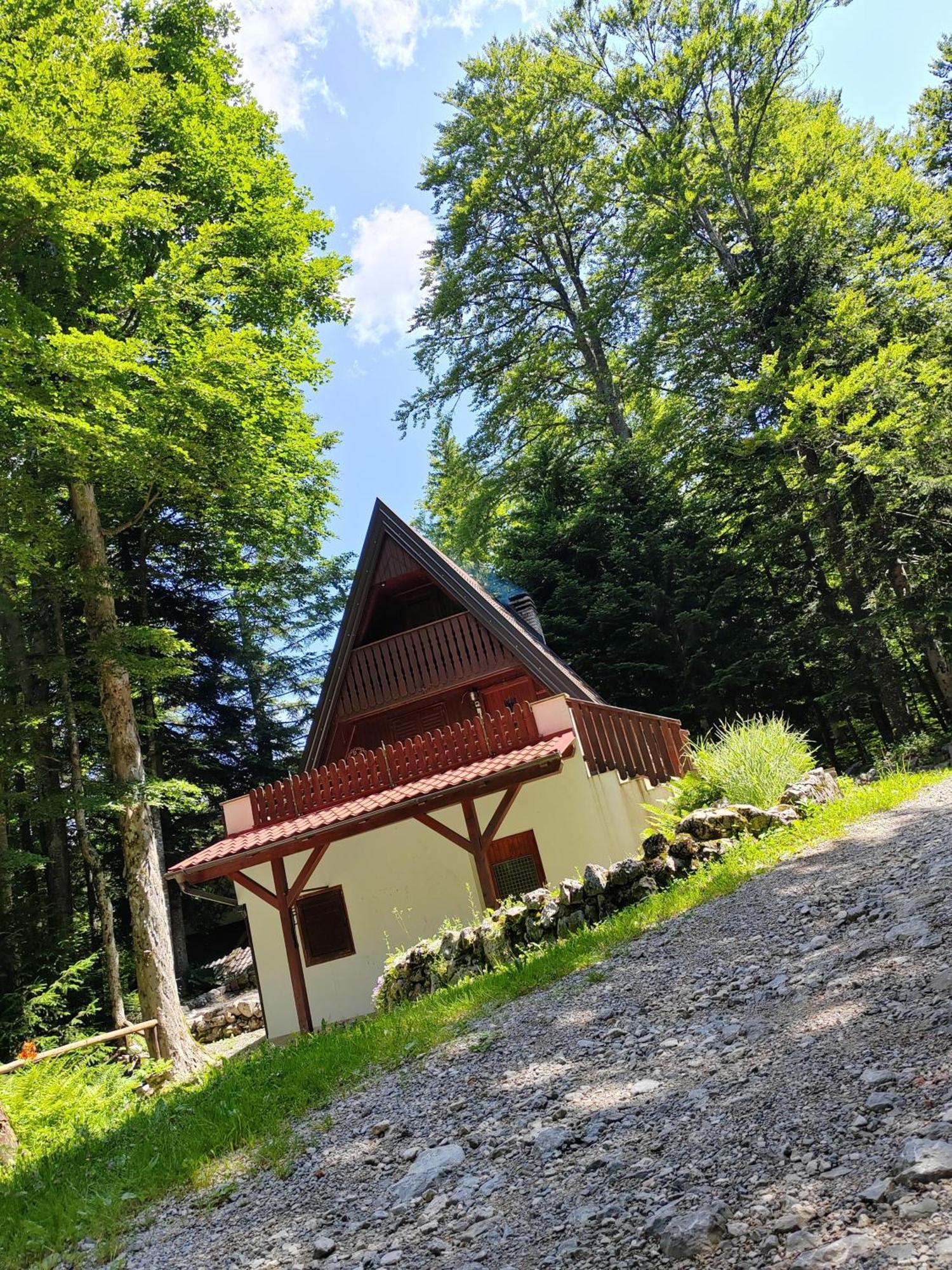 Koca Planika, Sviscaki Villa Ilirska Bistrica ภายนอก รูปภาพ