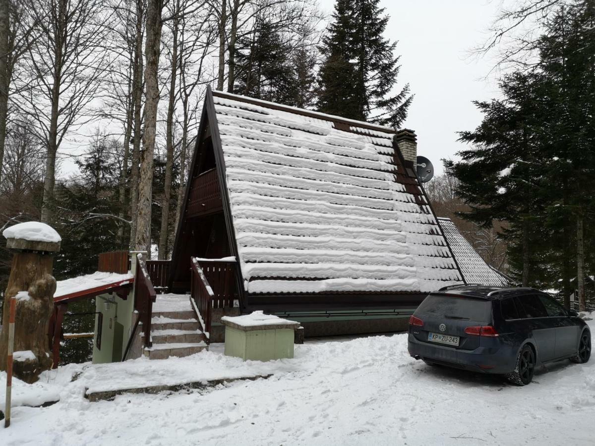 Koca Planika, Sviscaki Villa Ilirska Bistrica ภายนอก รูปภาพ
